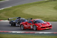 ffcorse-race-008-opt
