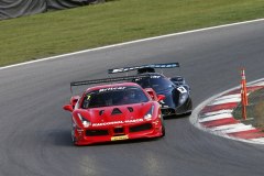 ffcorse-race-009-opt