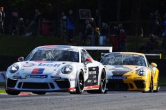 zpccgb__jep_bhgp-2417-opx