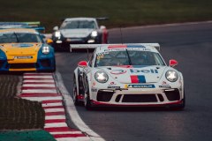 zpccgb_db_bhgp_d3b04332-opx